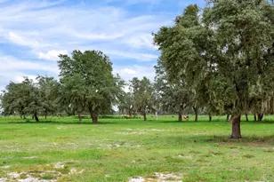 9111 Lake Buffum Rd N, Fort Meade, FL 33841 - Photo 47