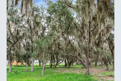 9111 Lake Buffum Road N, Fort Meade, FL 33841 - Photo 53