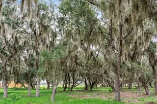 9111 Lake Buffum Rd N, Fort Meade, FL 33841 - Photo 53