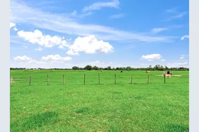 9111 Lake Buffum Road N, Fort Meade, FL 33841 - Photo 43
