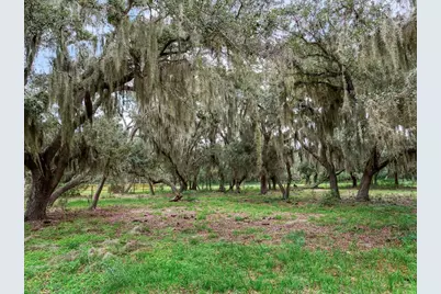 9111 Lake Buffum Road N, Fort Meade, FL 33841 - Photo 55