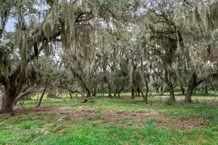 9111 Lake Buffum Rd N, Fort Meade, FL 33841 - Photo 55