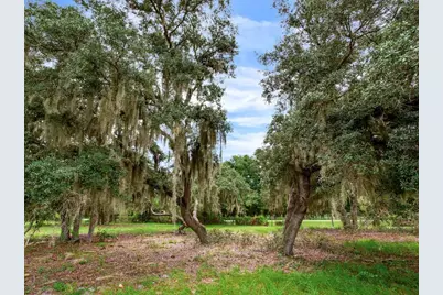 9111 Lake Buffum Road N, Fort Meade, FL 33841 - Photo 51