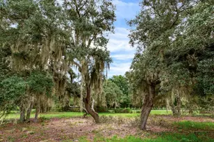 9111 Lake Buffum Rd N, Fort Meade, FL 33841 - Photo 51
