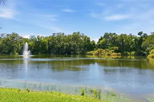 2726 14th Ct, Palm Harbor, FL 34684 - Photo 5
