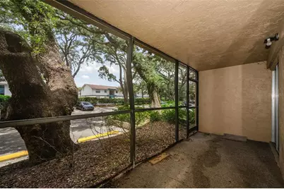 4411 Shady Terrace Lane #115, Tampa, FL 33613 - Photo 19