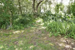 6282 Forestwood Dr E, Lakeland, FL 33811 - Photo 37
