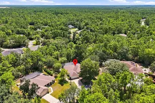 12 Nicotiana Ct, Homosassa, FL 34446 - Photo 75