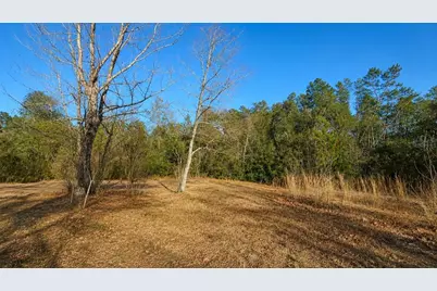 14175 SE 209th Terrace, Umatilla, FL 32784 - Photo 3