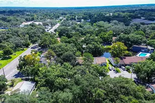 10306 Councils Way, Temple Terrace, FL 33617 - Photo 7