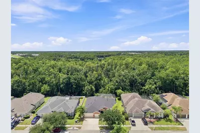 5046 Silver Charm Terrace, Wesley Chapel, FL 33544 - Photo 39