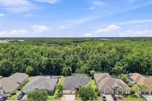 5046 Silver Charm Terrace, Wesley Chapel, FL 33544 - Photo 39
