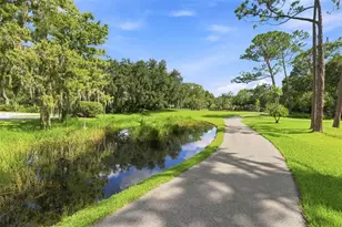 5091 Jasmine Way, Palm Harbor, FL 34685 - Photo 47