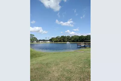 34145 Brown Bayou, Wesley Chapel, FL 33543 - Photo 43