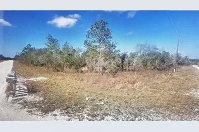 Tinamou Avenue, Weeki Wachee, FL 34614 - Photo 3