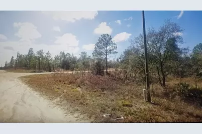Tinamou Avenue, Weeki Wachee, FL 34614 - Photo 1