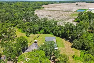 2321 Wooten Rd, Dover, FL 33527 - Photo 53