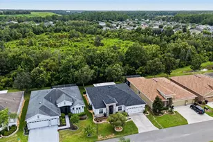 29358 Grass Bunker Dr, San Antonio, FL 33576 - Photo 41