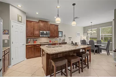 29358 Grass Bunker Drive, San Antonio, FL 33576 - Photo 13