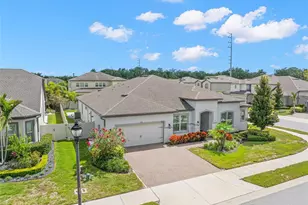 1528 Forest Glen Ct, Palm Harbor, FL 34683 - Photo 49