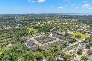 1528 Forest Glen Ct, Palm Harbor, FL 34683 - Photo 53