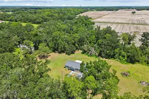 2317 Wooten Rd, Dover, FL 33527 - Photo 37