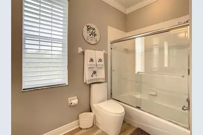 21211 Calle Rosa Drive, Land O Lakes, FL 34637 - Photo 61