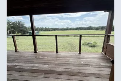28046 Bayhead Road, Dade City, FL 33523 - Photo 51