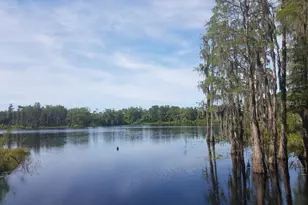 14263 Damselfly Dr, Tampa, FL 33625 - Photo 45
