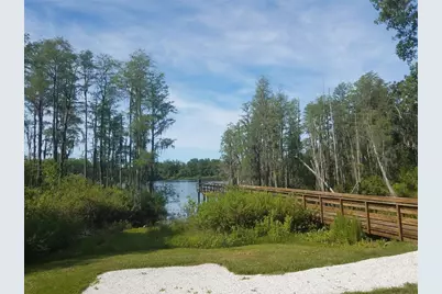 14263 Damselfly Drive, Tampa, FL 33625 - Photo 43