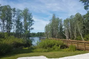 14263 Damselfly Dr, Tampa, FL 33625 - Photo 43