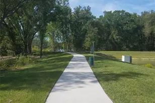 14263 Damselfly Dr, Tampa, FL 33625 - Photo 39