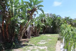 2376 Millwood Ln, Clearwater, FL 33763 - Photo 5