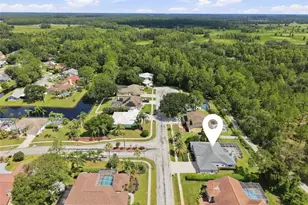 501 Manisha Pl, Tarpon Springs, FL 34688 - Photo 41