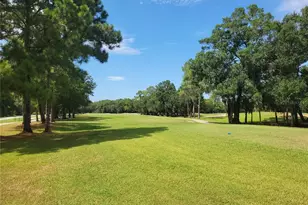 15611 Shoal Creek Pl, Odessa, FL 33556 - Photo 71