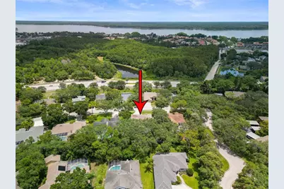 4448 Glenbrook Drive, Palm Harbor, FL 34683 - Photo 9