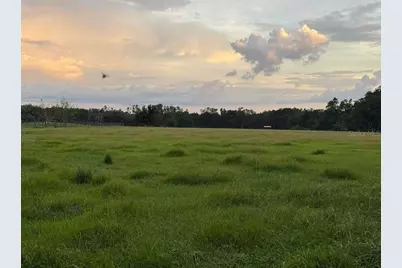 27900 Bayhead Road, Dade City, FL 33523 - Photo 9