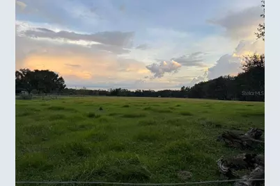 27900 Bayhead Road, Dade City, FL 33523 - Photo 3