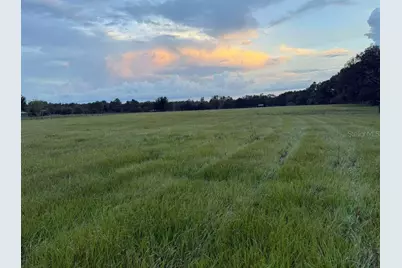 27900 Bayhead Road, Dade City, FL 33523 - Photo 11