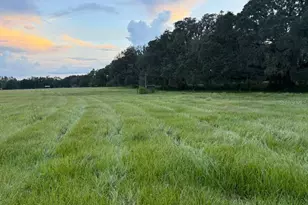 27900 Bayhead Rd, Dade City, FL 33523 - Photo 1