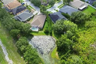7051 Derwent Glen Cir, Land O Lakes, FL 34637 - Photo 67