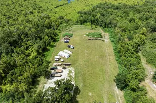 10710 Bill Tucker Rd, Wimauma, FL 33598 - Photo 59