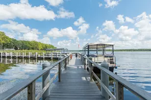 1207 Timberbrooke Dr, Palm Harbor, FL 34684 - Photo 41