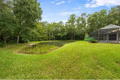 3600 Darston Street, Palm Harbor, FL 34685 - Photo 37