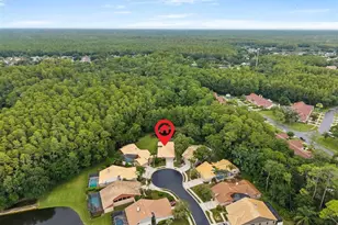 3600 Darston St, Palm Harbor, FL 34685 - Photo 41
