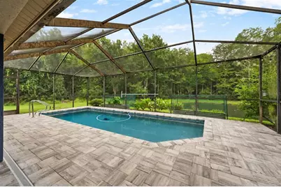 3600 Darston Street, Palm Harbor, FL 34685 - Photo 3