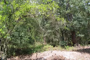 1217 Iris Ave, Sebring, FL 33875 - Photo 1