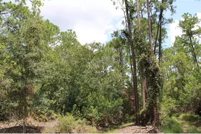 1217 Iris Avenue, Sebring, FL 33875 - Photo 3