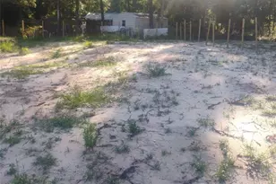 587 Marshburn Dr, Bronson, FL 32621 - Photo 1