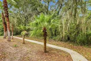 16414 Bridgelawn Ave, Lithia, FL 33547 - Photo 47